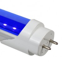 Chinese supplier UV T8 led tube for  alm with PC cover 365nm 395nm 5 years warranty Ultraviolet lamp